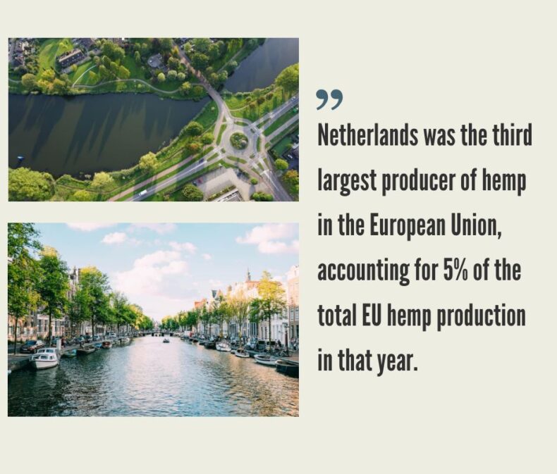 Hemp CBD Market in the Netherlands