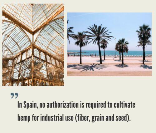 Spain Hemp CBD Market