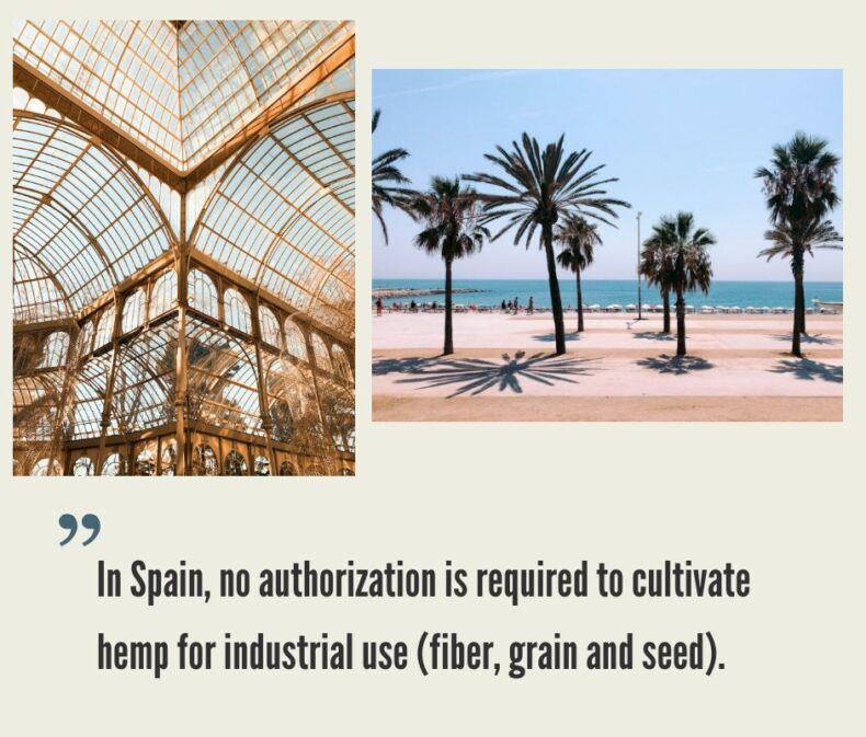 Spain Hemp CBD Market