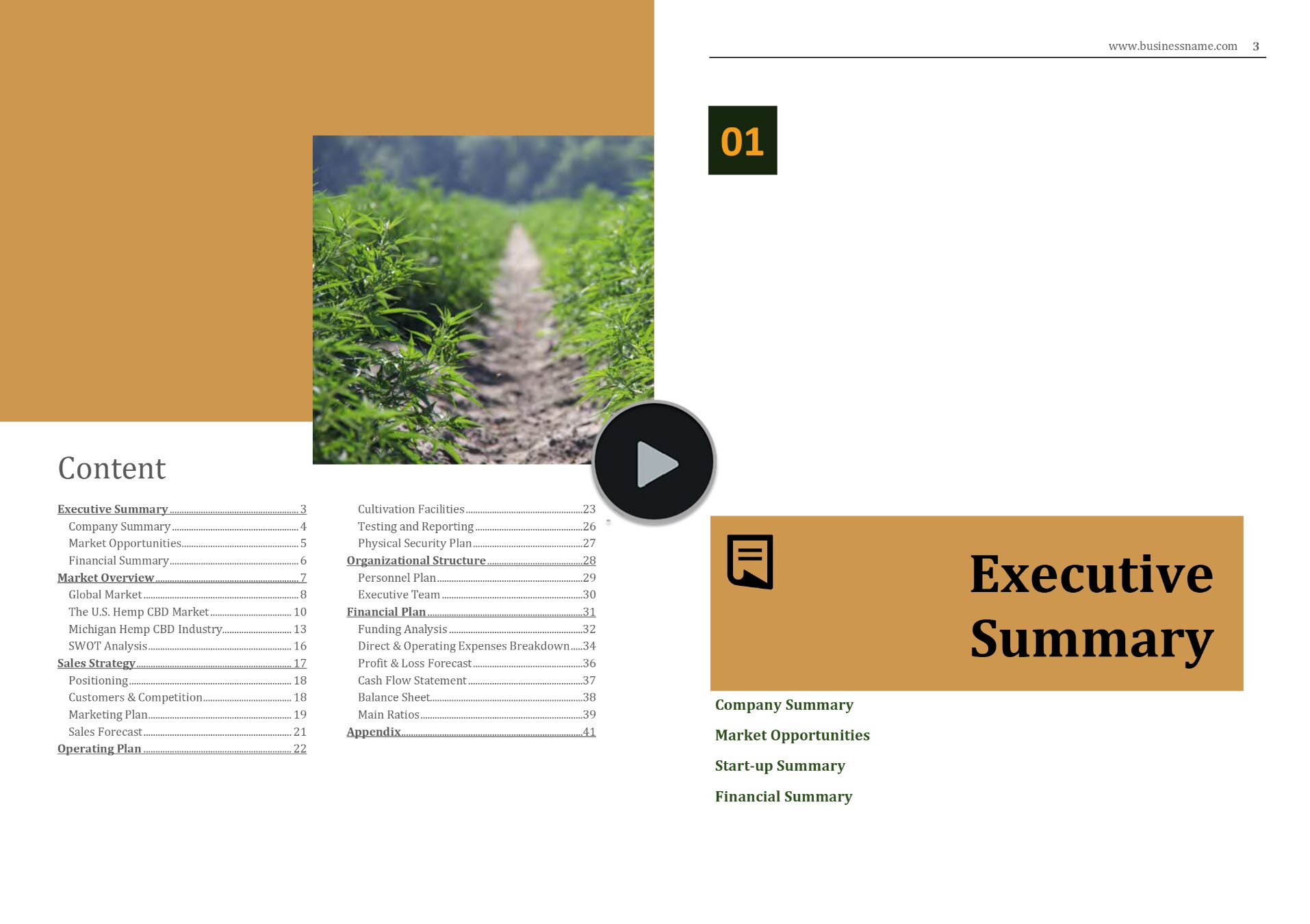 hemp cultivation nursery business plan