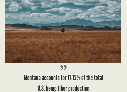 Montana Hemp Industry