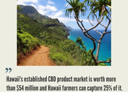 Hawaii Hemp Industry
