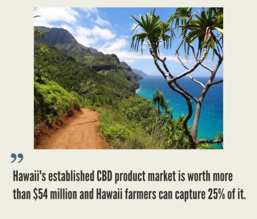 Hawaii Hemp Industry
