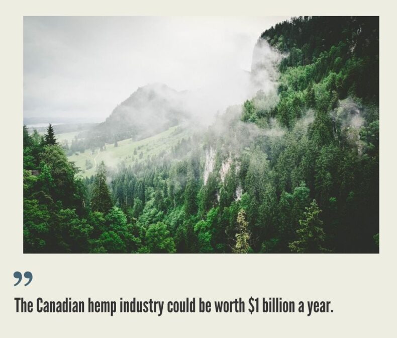 Canada Hemp Business, Legalization and Opportunities