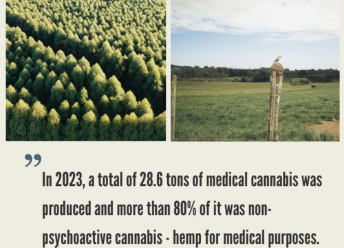 Uruguay Hemp CBD Industry