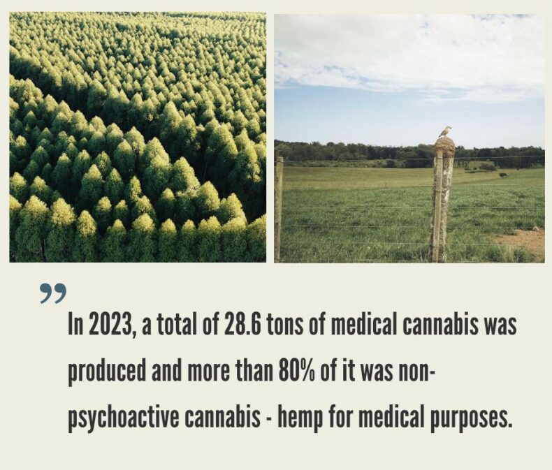 Uruguay Hemp CBD Industry