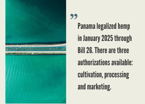 Panama Hemp Industry