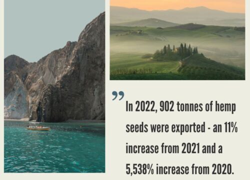 Italian Hemp Industry