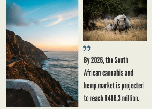 South Africa Hemp Industry