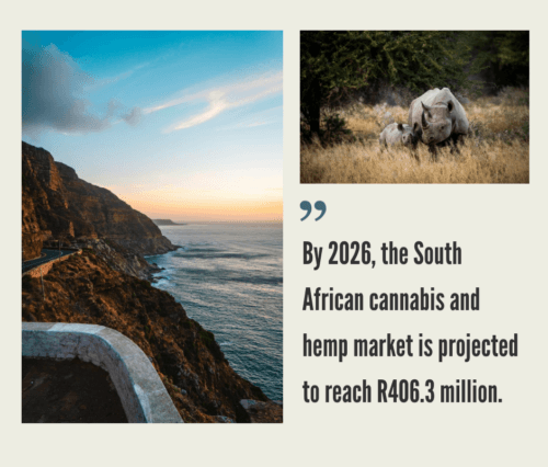 South Africa Hemp CBD Industry
