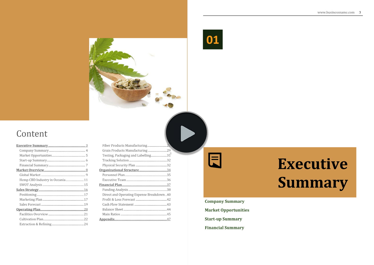Hemp Biomass Fiber Grain Cultivation Processing Manufacturing Business Plan Template