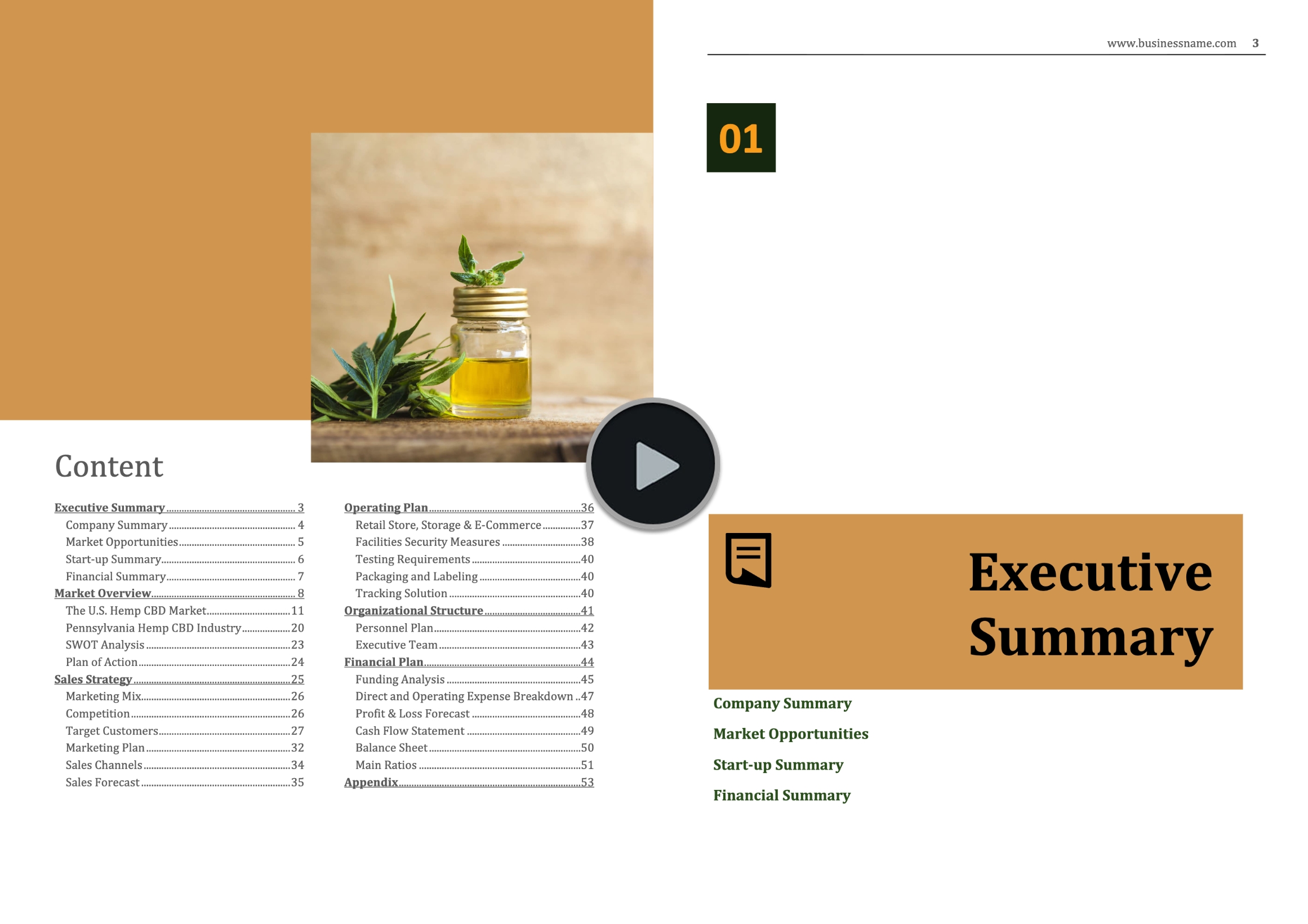 CBD Products Retail Business Plan