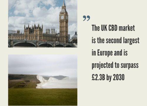 UK Hemp CBD Industry