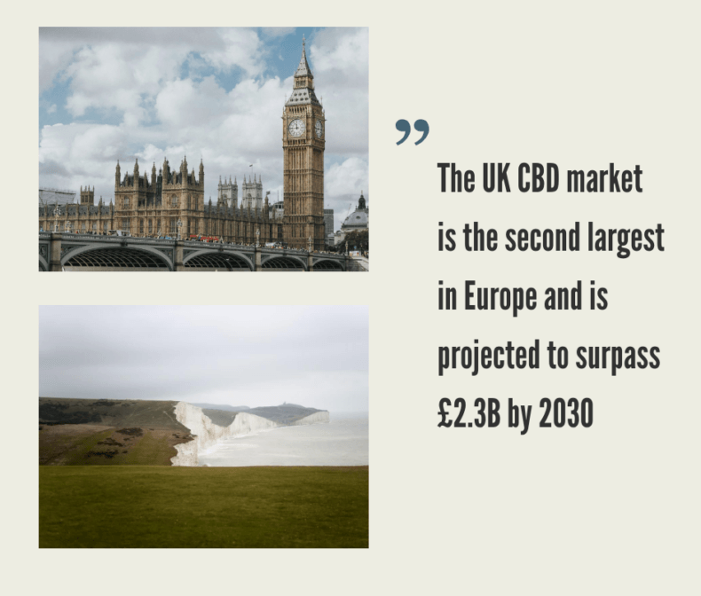 UK Hemp CBD Industry