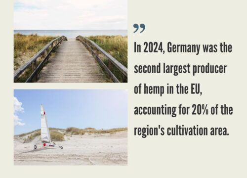 German Hemp CBD Industry