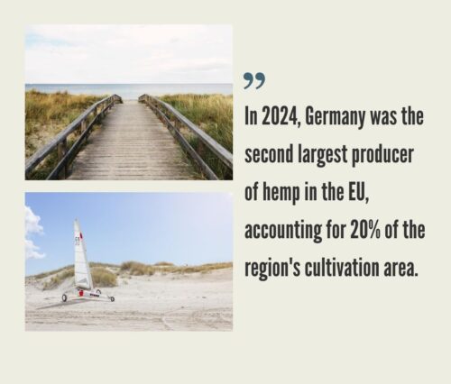 German Hemp CBD Industry