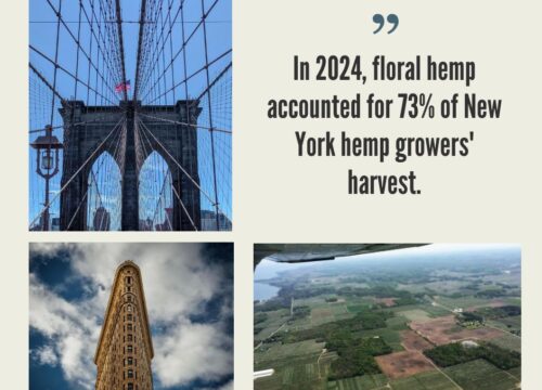 New York Hemp Industry