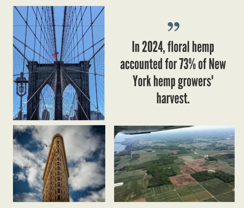 New York Hemp Industry