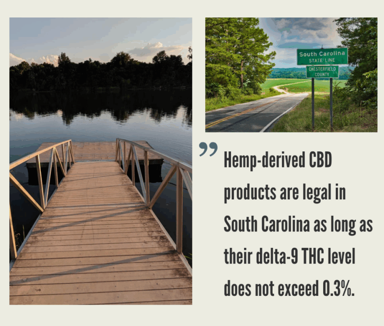 South Carolina Hemp Industry