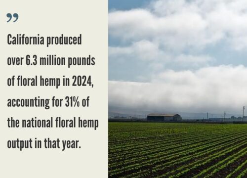 California Hemp Industry