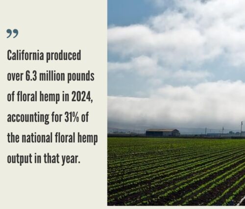 California Hemp Industry