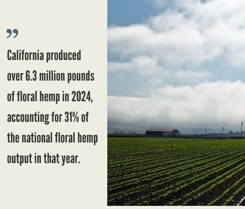 California Hemp Industry
