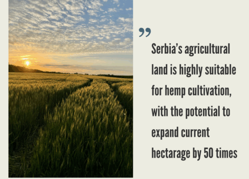 Hemp Market in Serbia