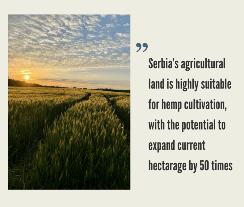 Hemp Market in Serbia