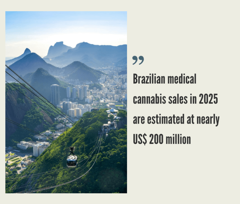 Brazil Low THC Cannabis Market