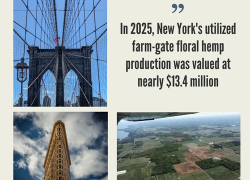 New York Hemp Industry