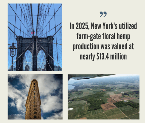 New York Hemp Industry