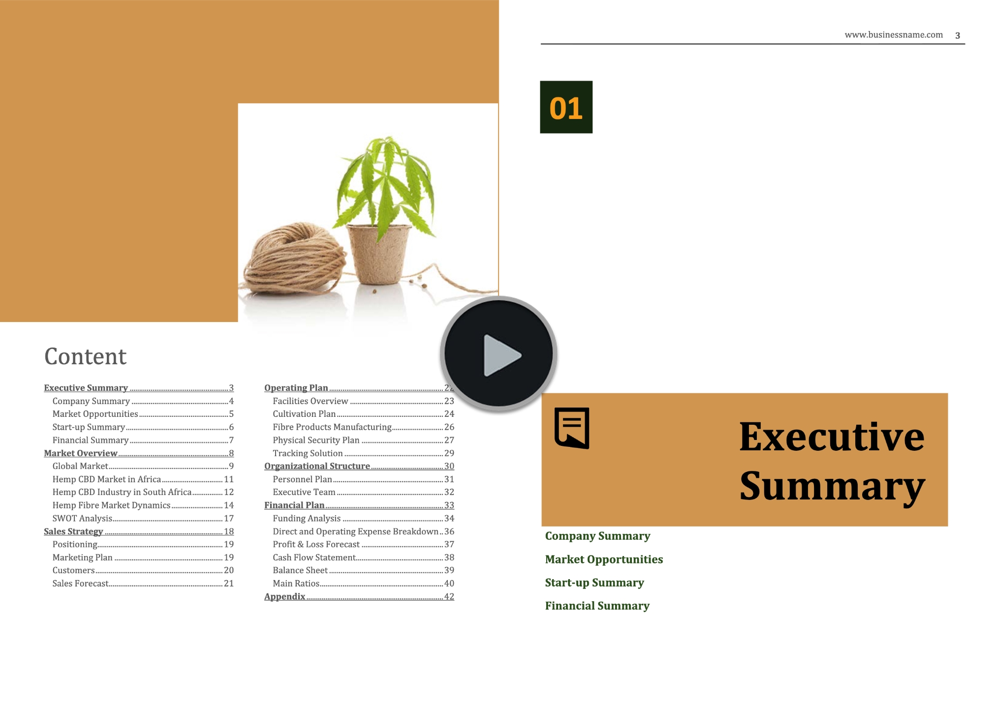 Africa Hemp CBD Business Plan Sample
