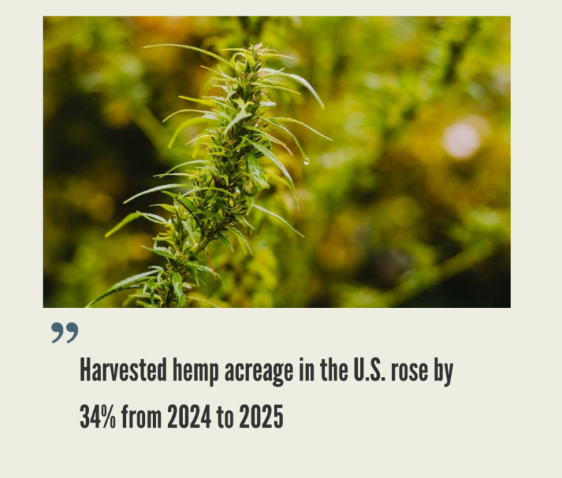 U.S. Hemp CBD Industry, Legalization and Opportunities