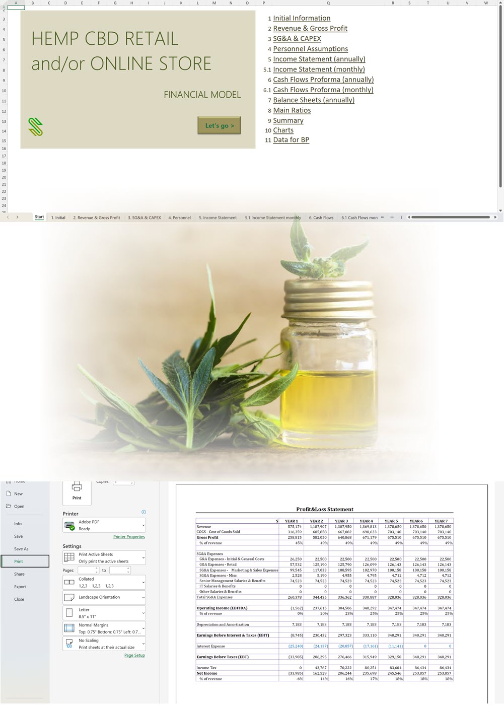 CBD Products Retail/Online Store Financial Model