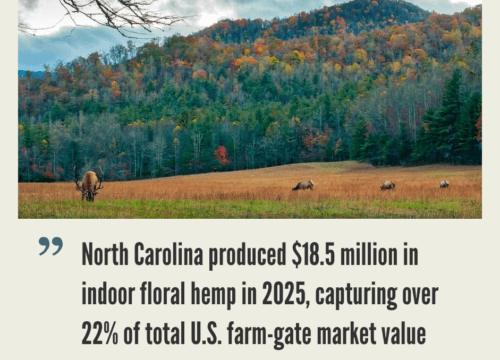 North Carolina Hemp Industry