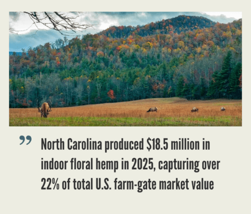 North Carolina Hemp Industry