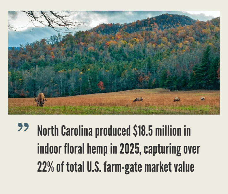 North Carolina Hemp Industry