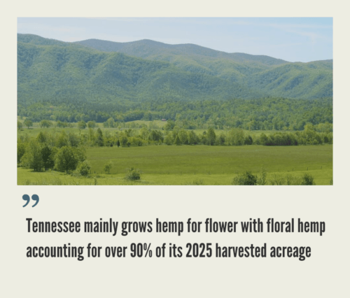 Tennessee Hemp Industry