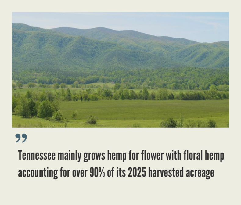 Tennessee Hemp Industry