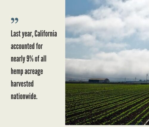 California Hemp Industry