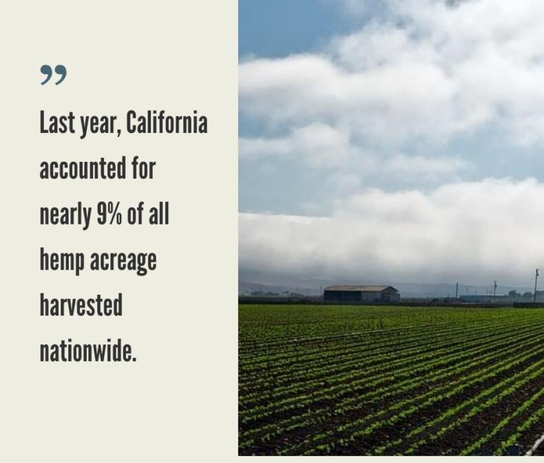 California Hemp Industry